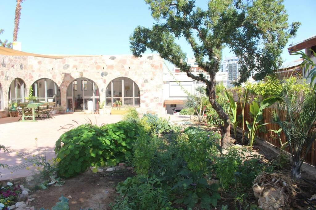 Eilat Stone - Patio אבן אילת - פטיו公寓 外观 照片